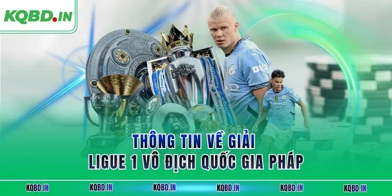 Ligue 1 30 Thông tin về giải Ligue 1 vô địch quốc gia Pháp